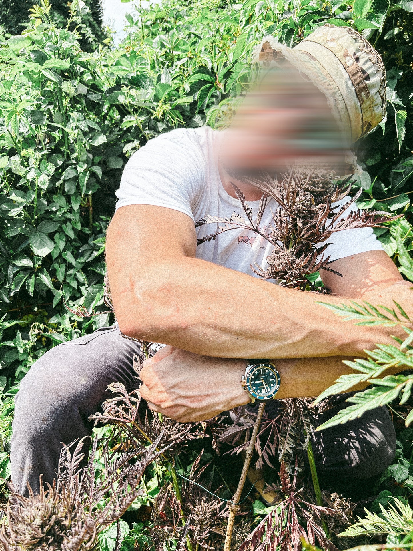 Frosty's Auto Freak π§