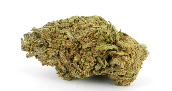 Kushberry 🍇