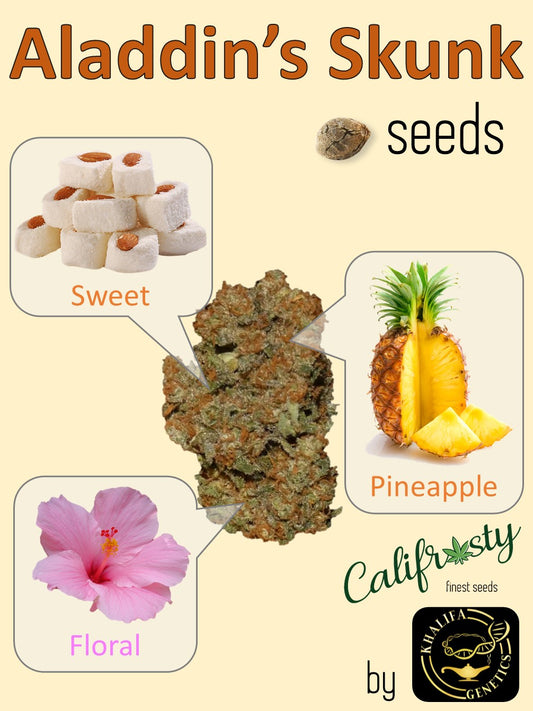 Aladdin's Skunk ๐ฅฎ