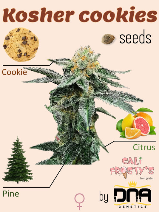 Kosher Cookies ๐ช