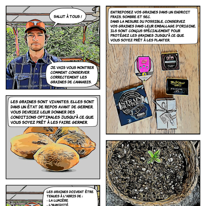 Comics : How to store your seeds? (FR)