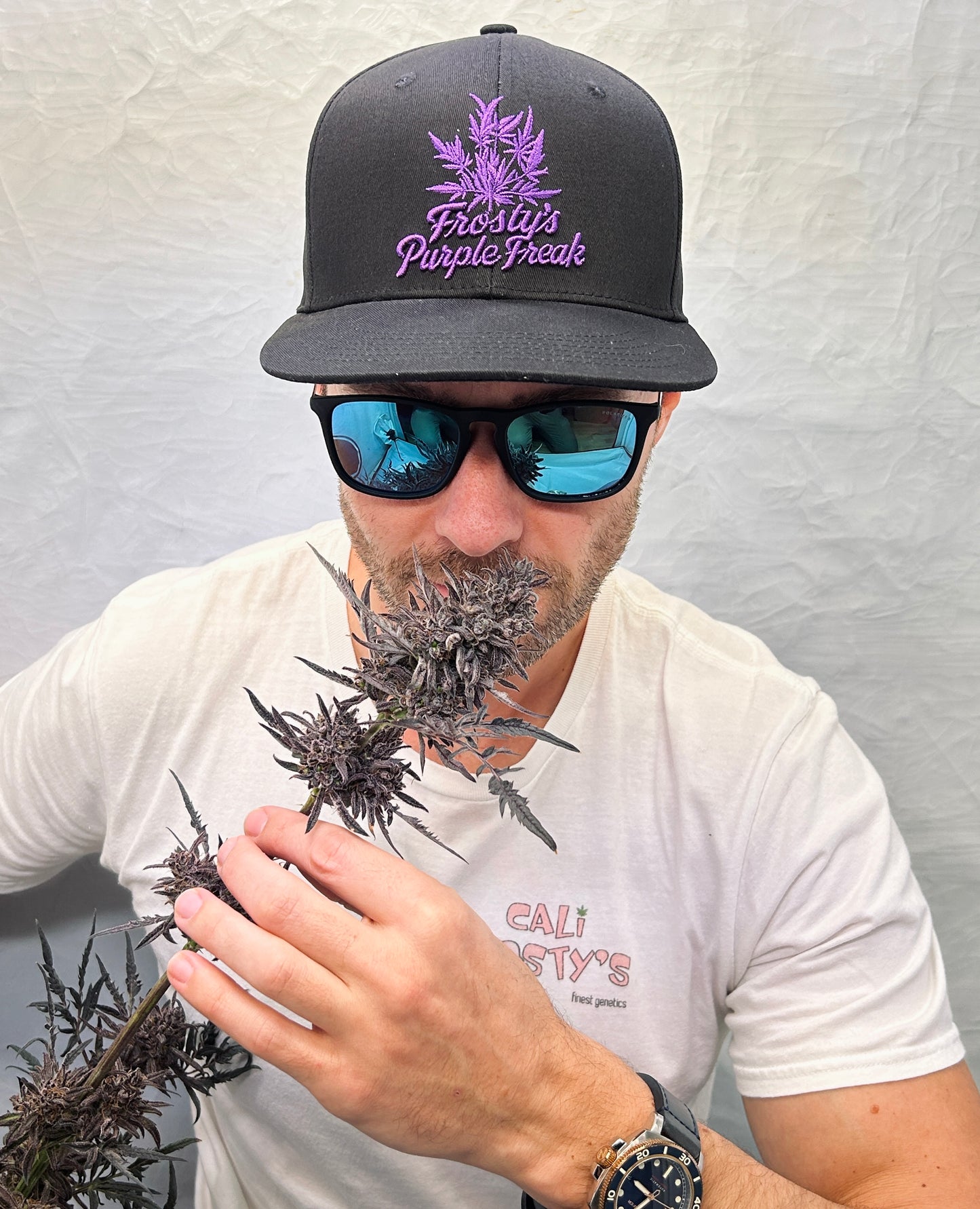 Frosty's Purple Freak Snapback Hat