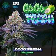 Load image into Gallery viewer, Coco Fresh 🥥