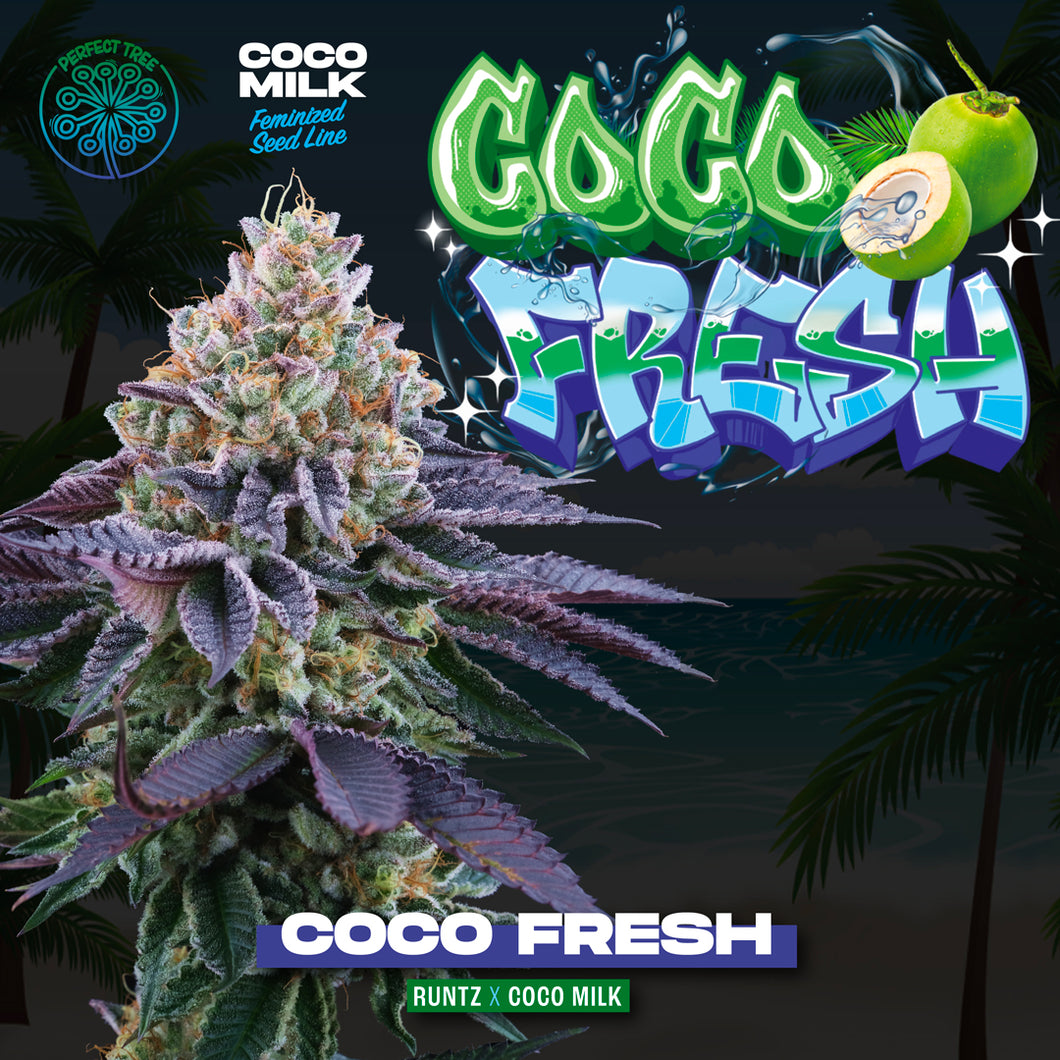 Coco Fresh 🥥