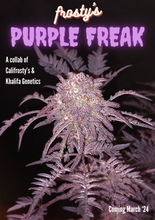 Cargar imagen en el visor de la galería, Frosty&#39;s Purple Freak 🧟