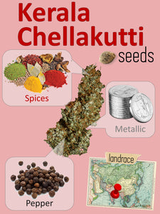 Kerala Chellakutti 🌴