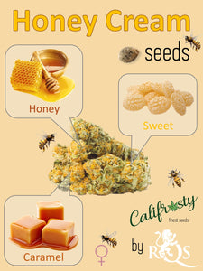 Honey Cream (Fast) 🍯