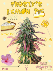 Frosty's Lemon Pie 🍭