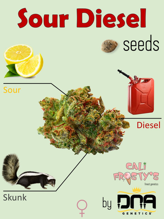 Sour Diesel β½